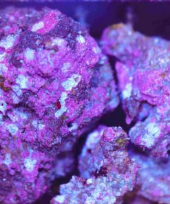 Ready Rubble Live Rock