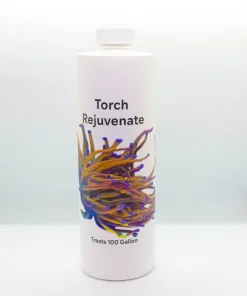 Torch Rejuvenate Antibiotic Dip Treatment (Brown Jelly)