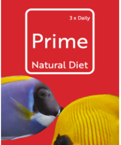 Atoll Prime Frozen Fish Food *pick up only*