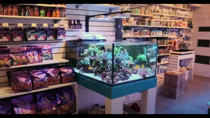 Frag Box Corals