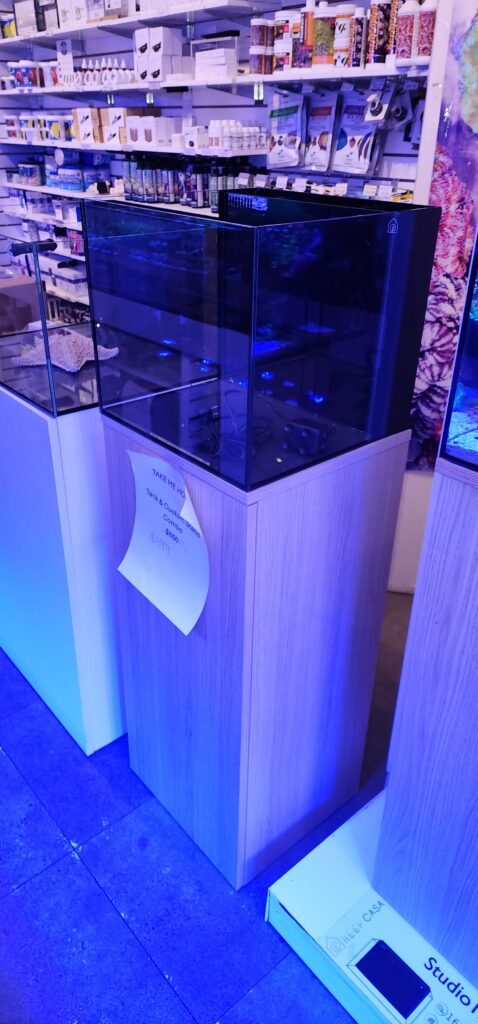 Frag Box Corals