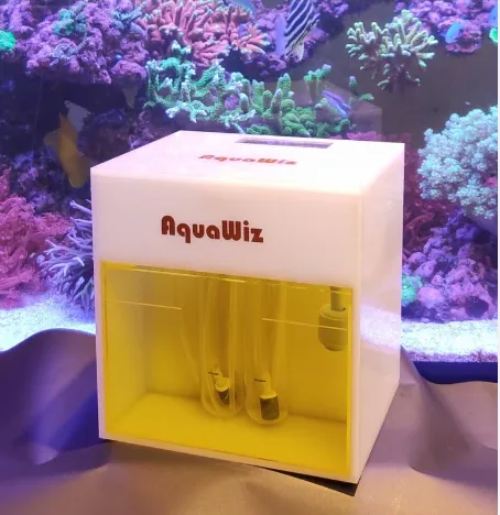 Frag Box Corals