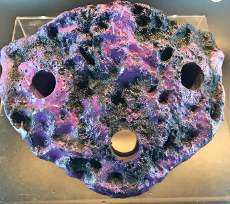 Frag Box Corals