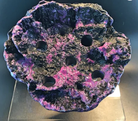 Frag Box Corals