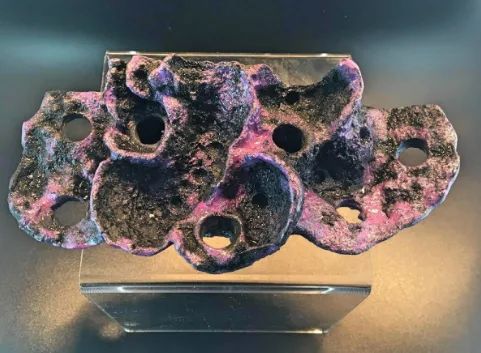 Frag Box Corals