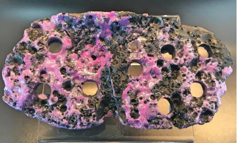 Frag Box Corals