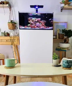 Grande Reef Casa Aquarium Cabinet [Tide/Laguna]