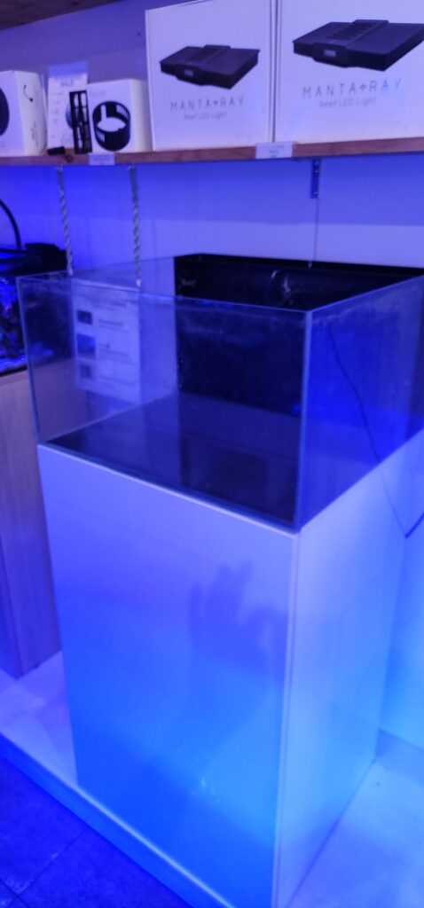 Frag Box Corals