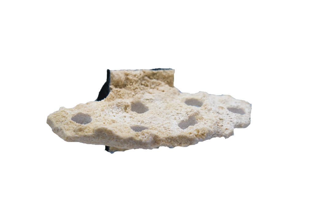 Frag Box Corals
