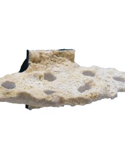 Frag Float - Handmade Magnetic 5 Hole Floating Rock Rack * SUPER STRONG MAGNET*