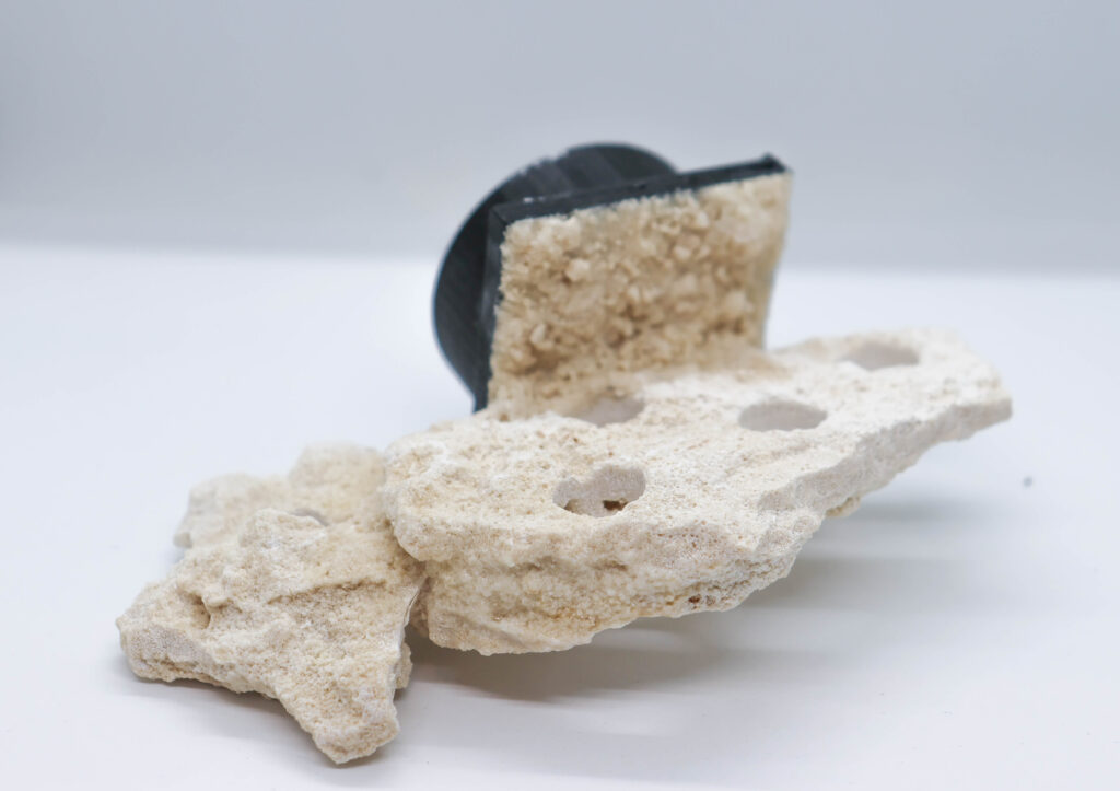 Frag Box Corals
