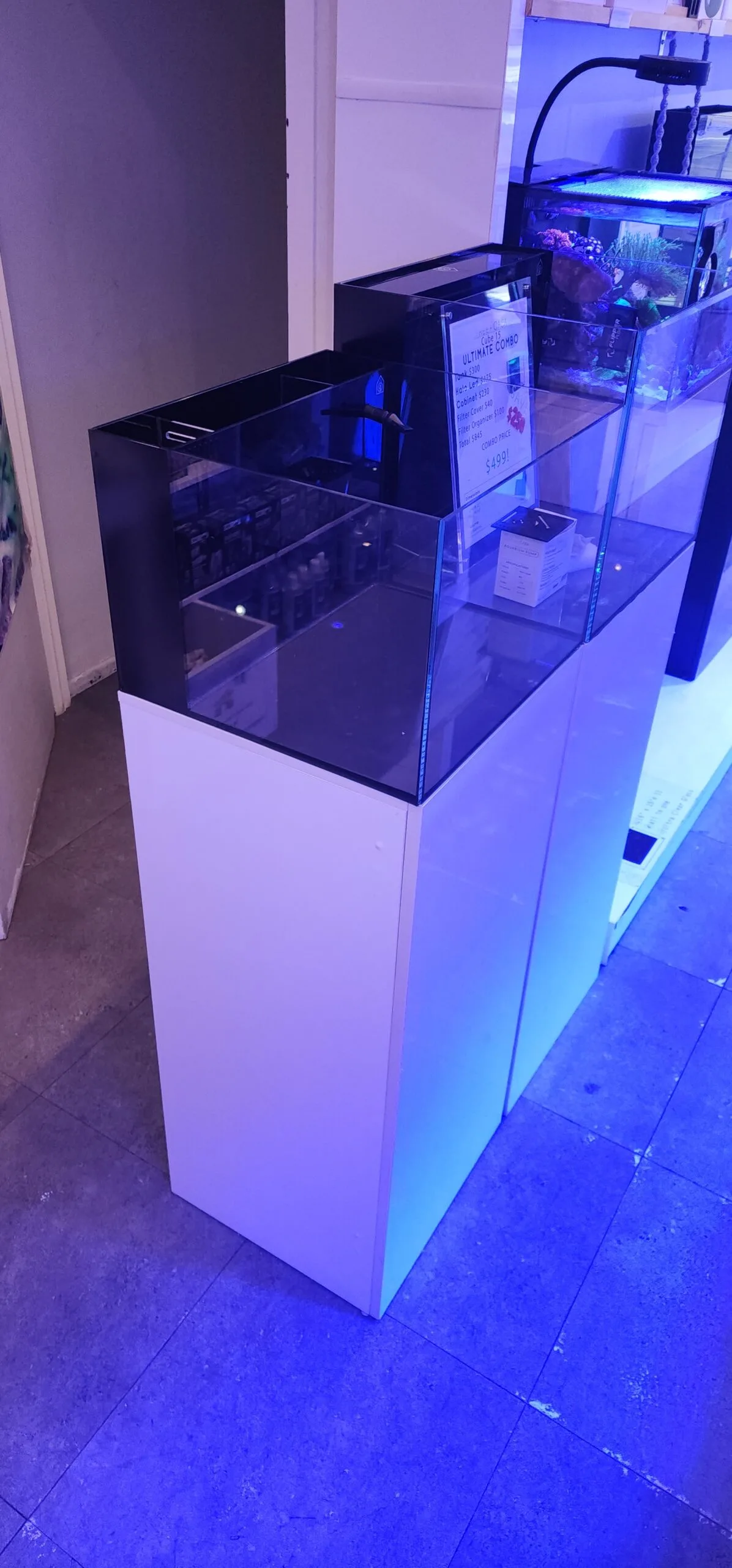 Frag Box Corals