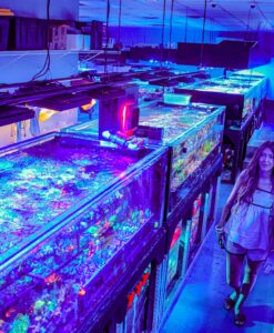 Top Shelf Aquatics