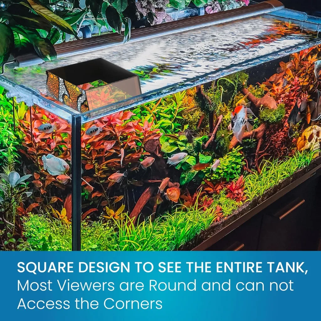 Frag Box Corals