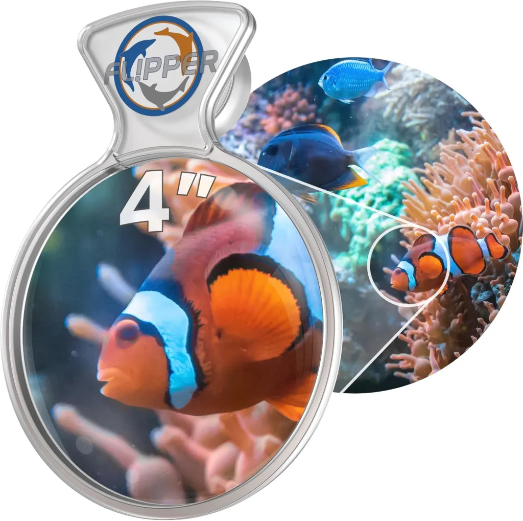 Frag Box Corals