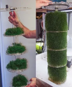 Do you need a chaeto reactor ? watch this video first