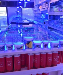 1 Year's Supply Of Vitalis *FREE* Read description