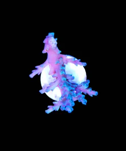 Wysiwyg Small Ice Fire Enchinata Frag [F210]