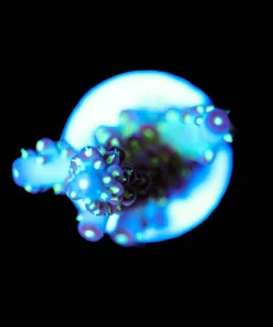 Wysiwyg Midnight Granulas [F246]