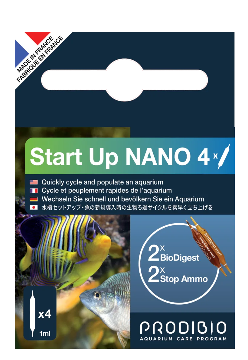 Start_Up_NANO_4