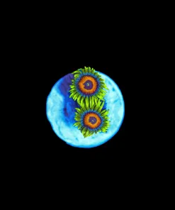 Wysiwyg Super Saiyan Zoa Frag [F80]