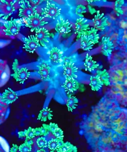 Vibrant Green Flowerpot Frag (Row #70:B)